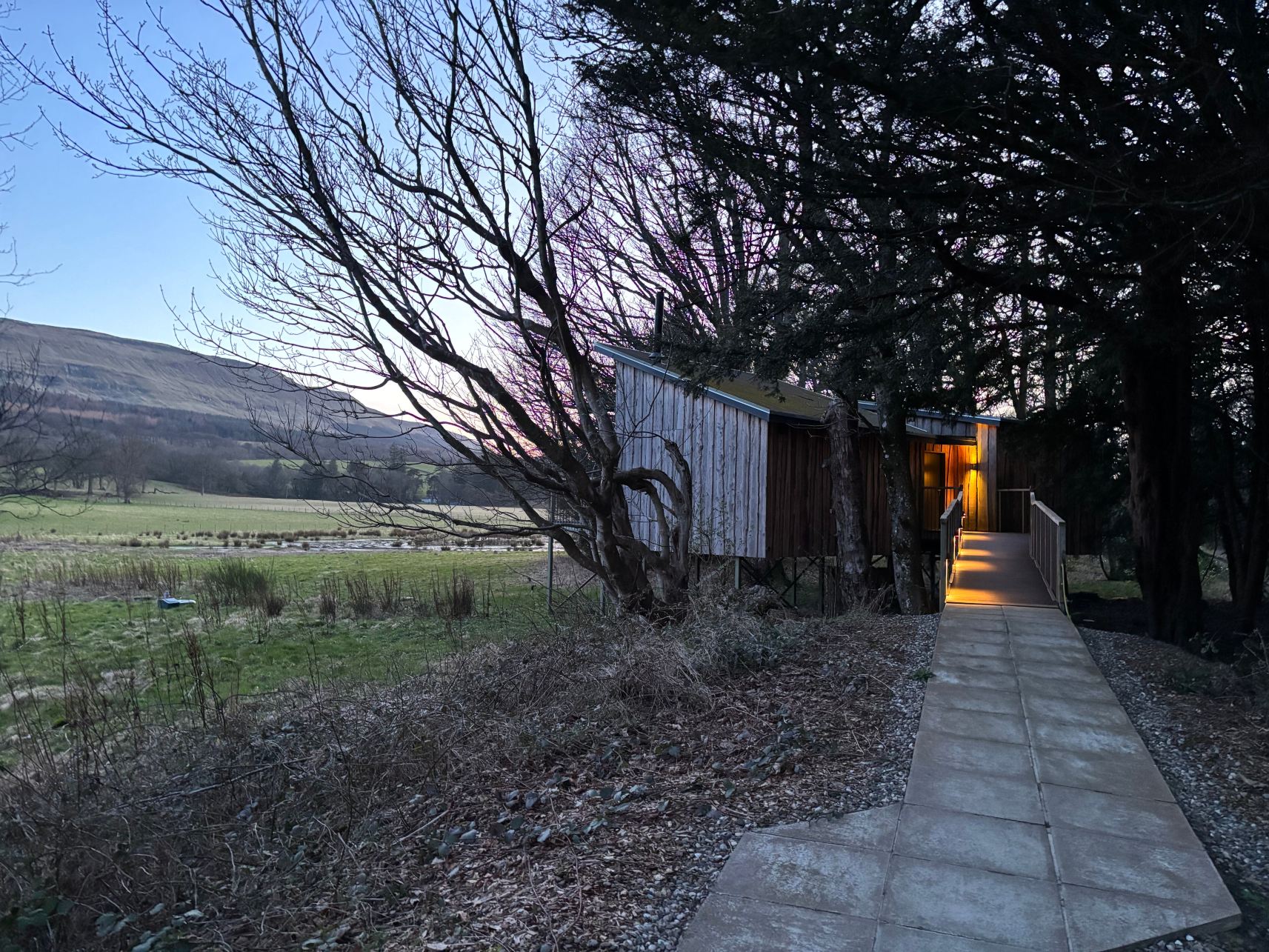 The Treehouses at Leckie-官方
