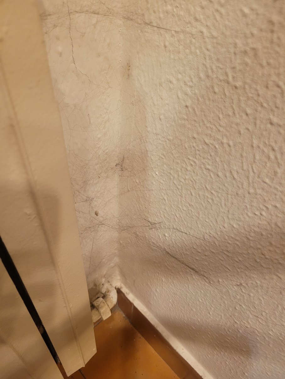 伊拉迪亚酒店-官方