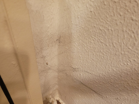 伊拉迪亚酒店主图