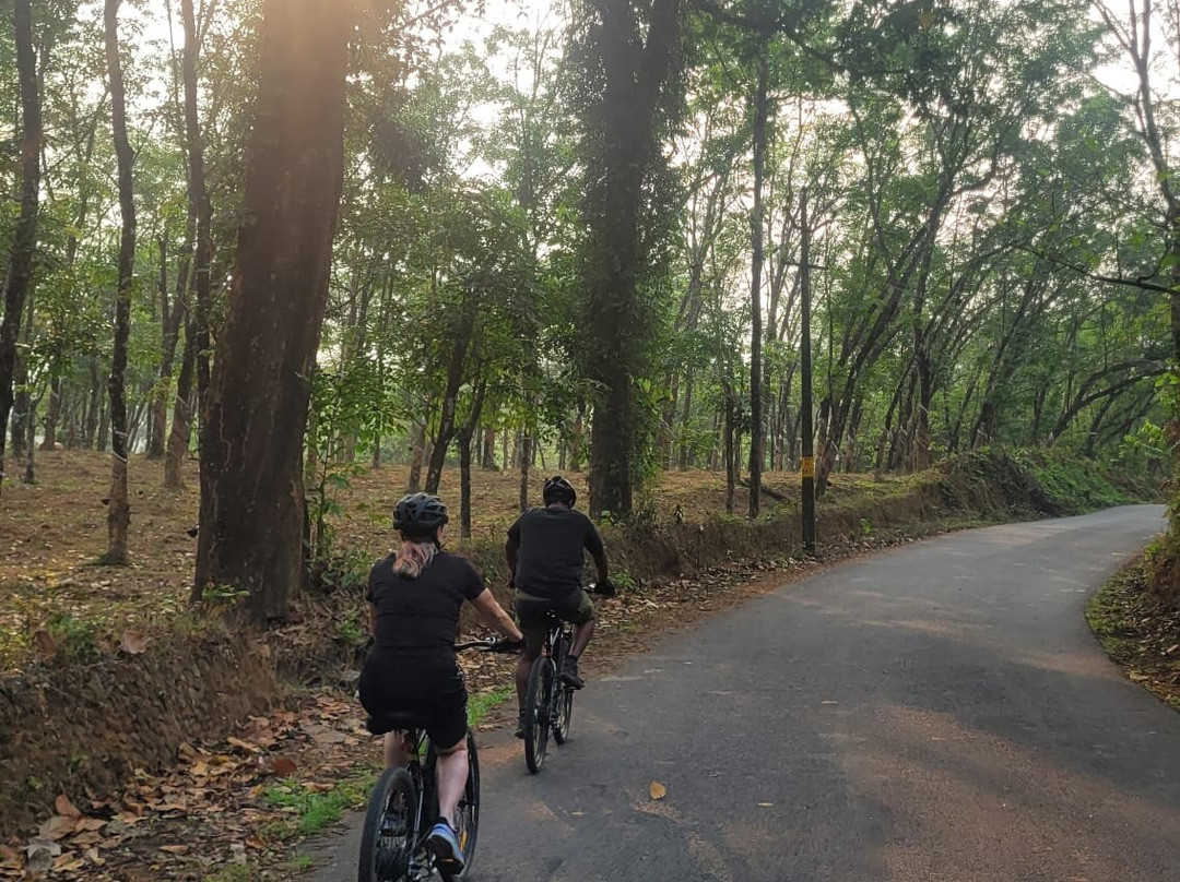 Kalypso Adventures-Fort Kochi必去景点