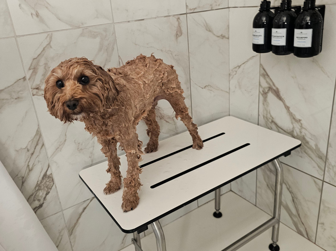 Ardent 代顿市中心希尔顿启缤精选酒店主图