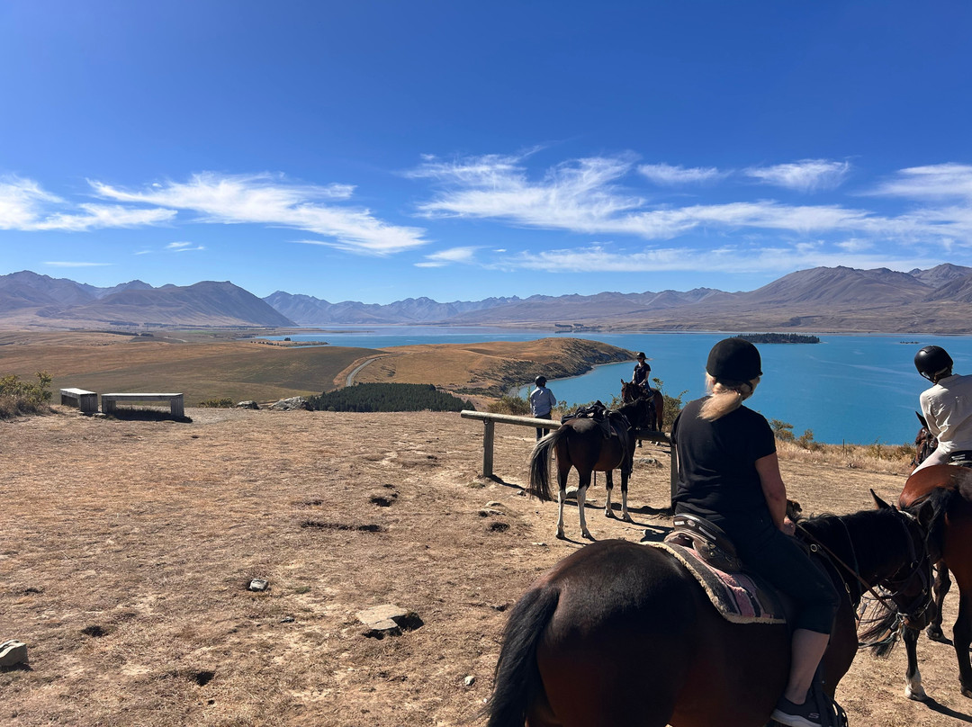 麦肯西高山骑马之旅－一日游-特卡波湖必去景点