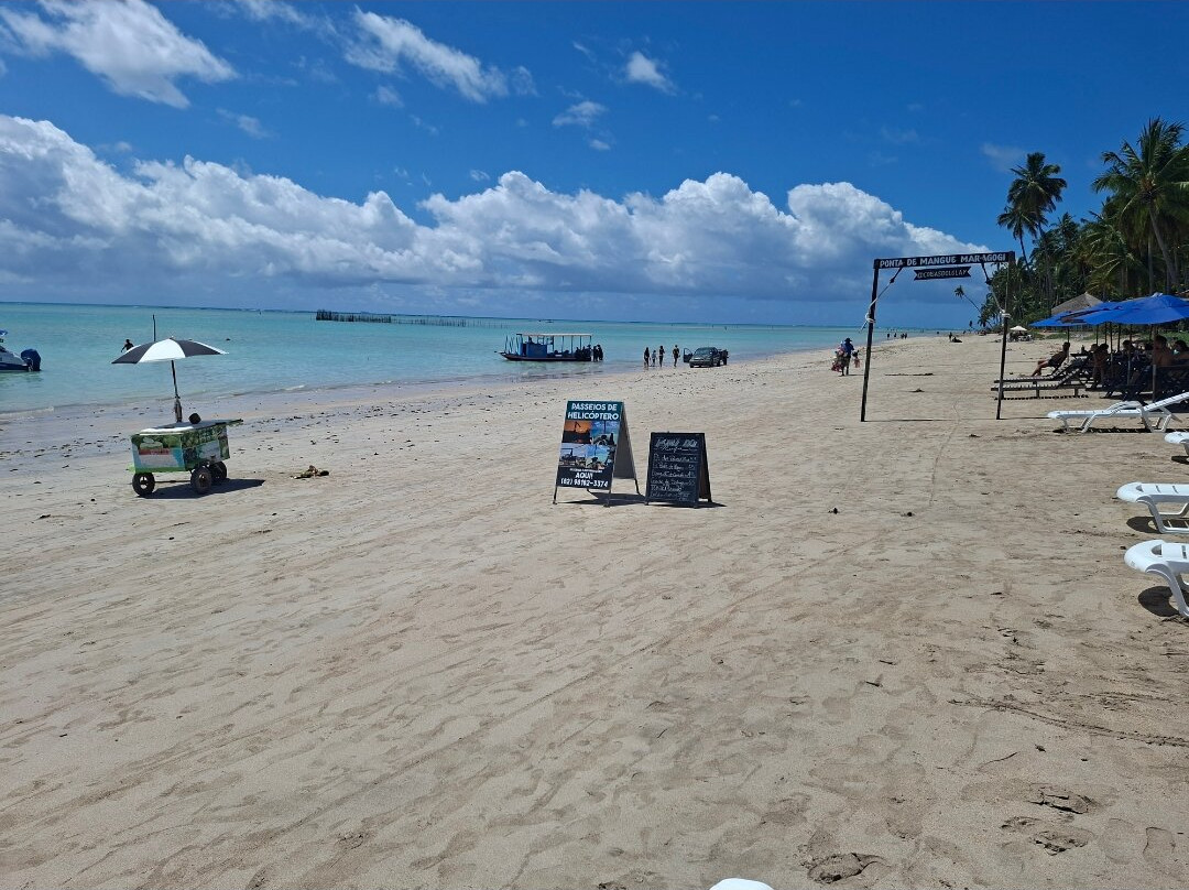 Praia Ponta de Mangue-Maragogi必去景点