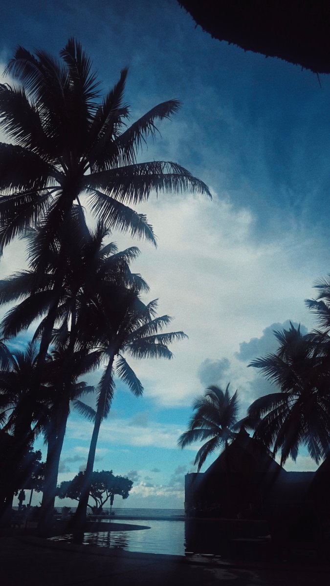 毛里求斯康斯丹贝尔玛尔酒店-泳池