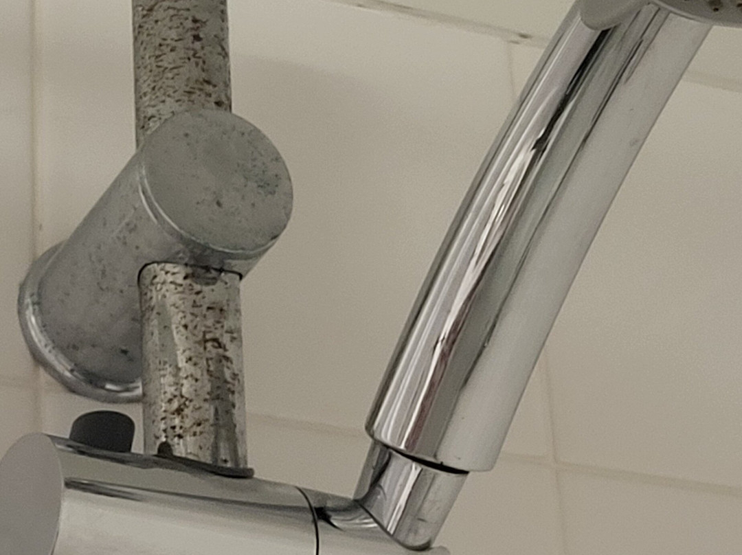 河滨小屋酒店主图