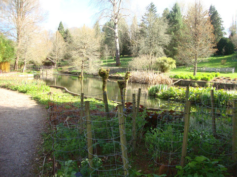 Sir Harold Hillier Gardens-罗姆西必去景点