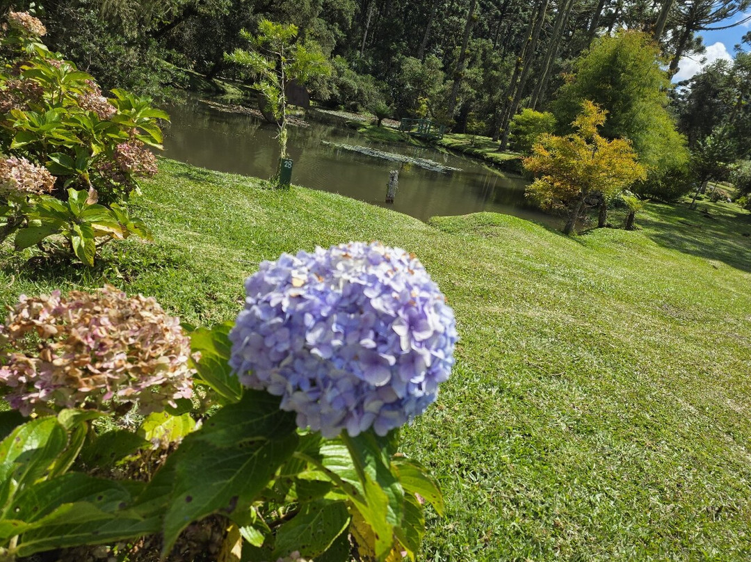 Parque da Lagoinha-坎普斯－杜若尔当必去景点