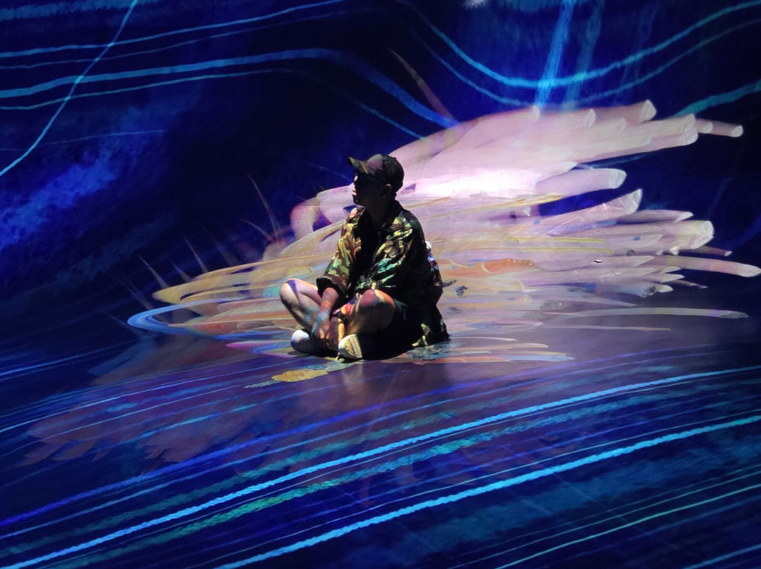 teamLab Phenomena Abu Dhabi-阿布扎比必去景点