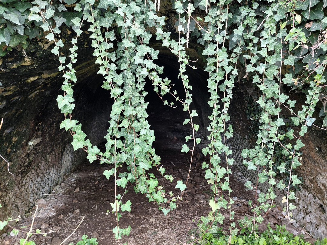 Parco Archeologico Di Otricoli-Otricoli必去景点