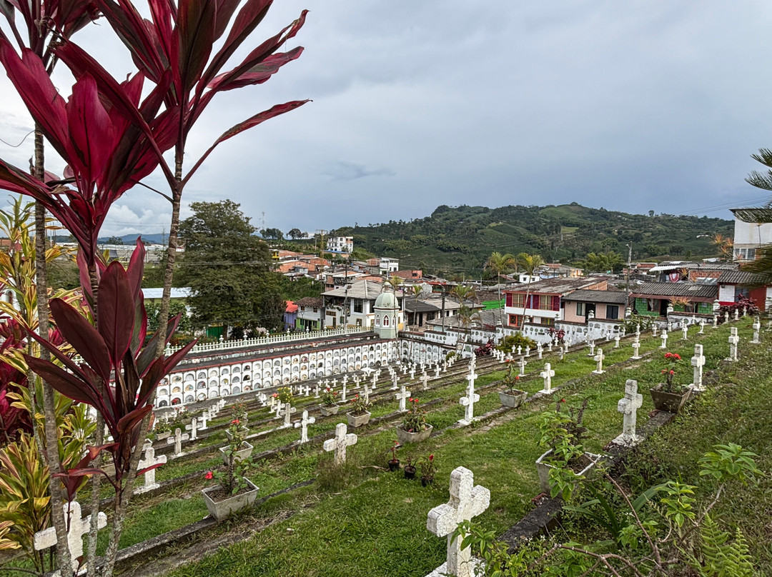 Cementerio de Marsella
