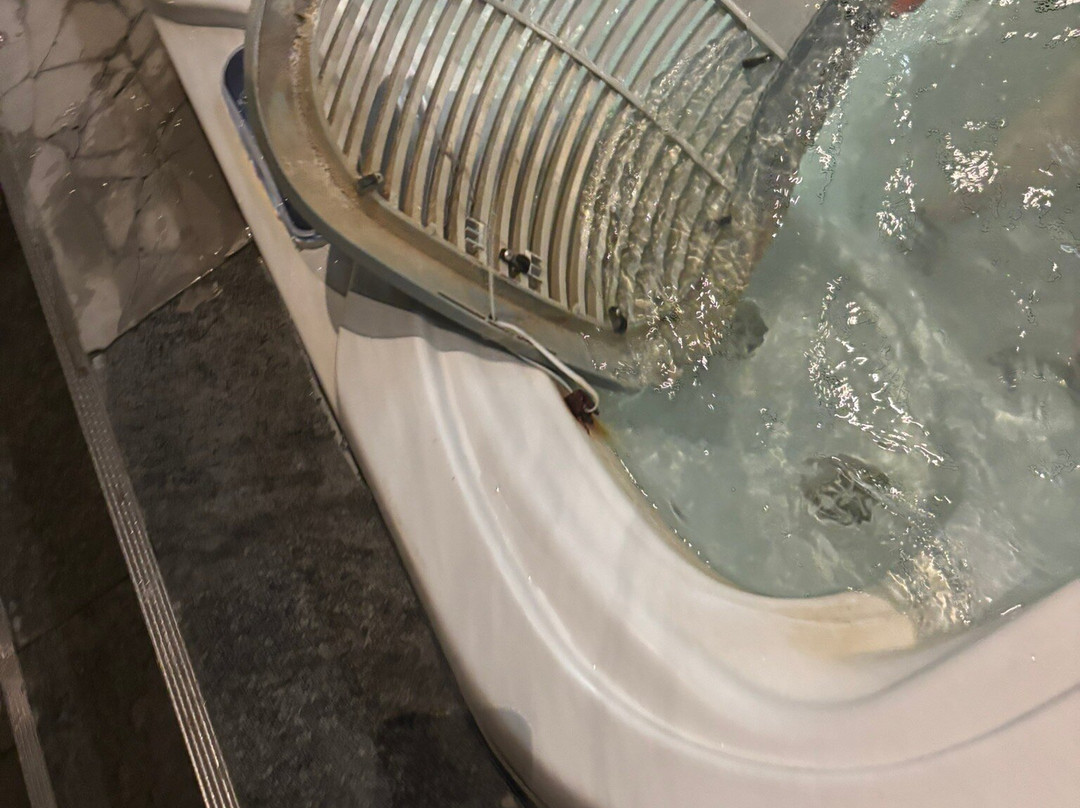 The Retreat Spa-埃克塞特必去景点