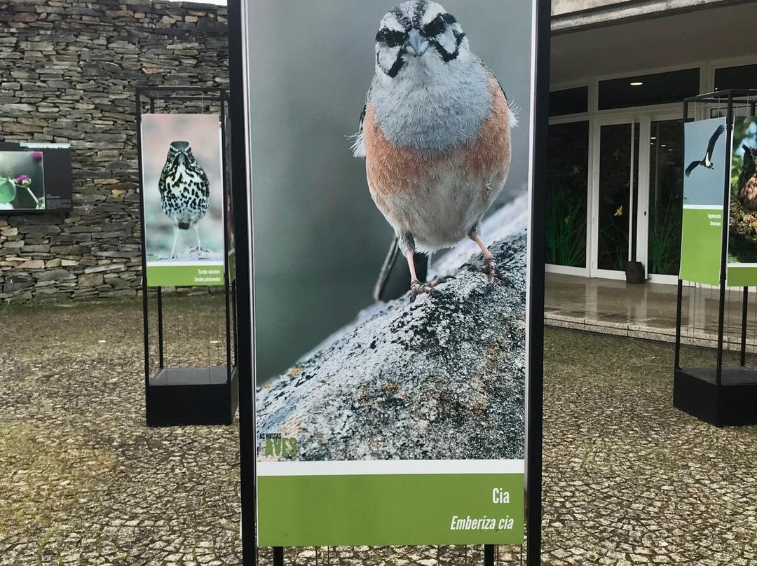 Centro Ciencia Viva Da Floresta-Proenca-a-Nova必去景点