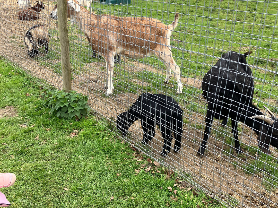 Foxholes Farm Shop & Butchery-Hertford必去景点
