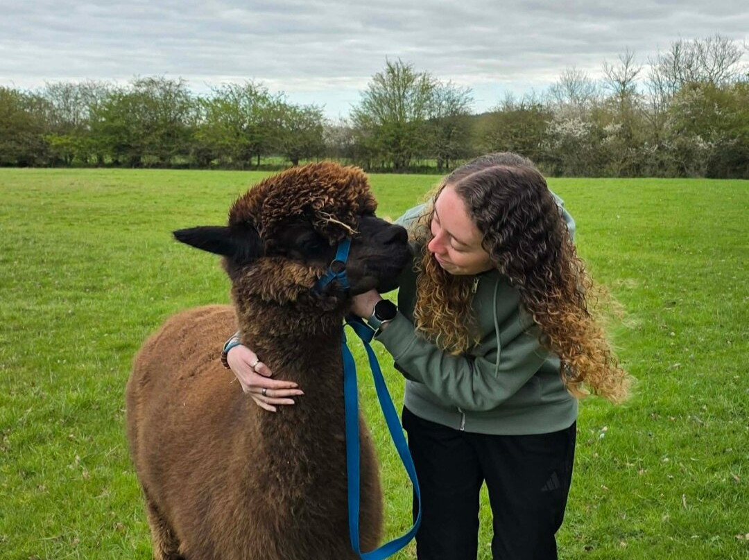 Lane House Alpaca Farm