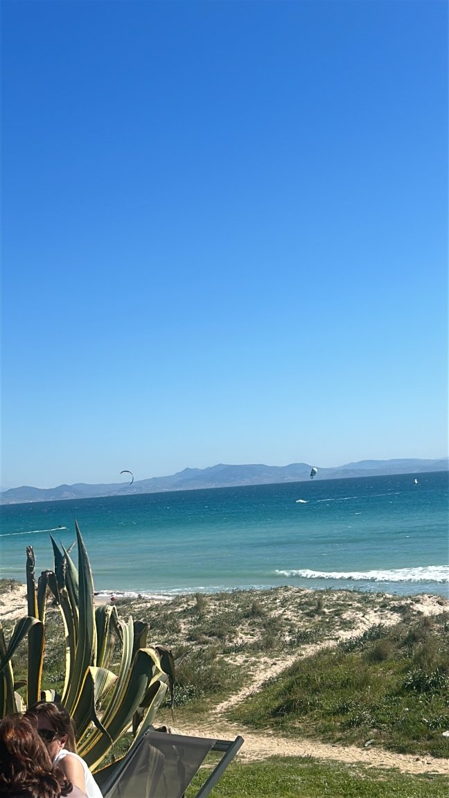 亚特维达酒店-官方