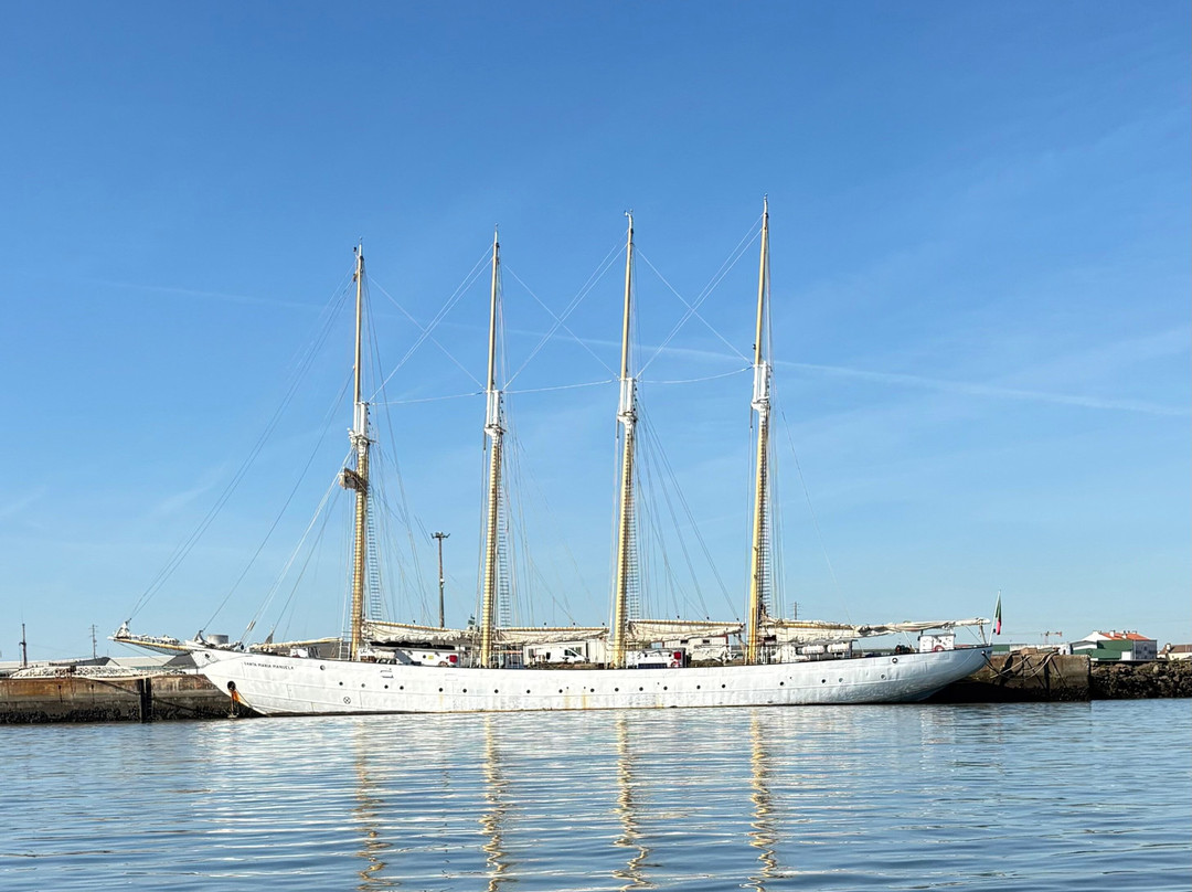 Sterna - Aveiro Ria Tours & Birdwatching-阿威罗必去景点