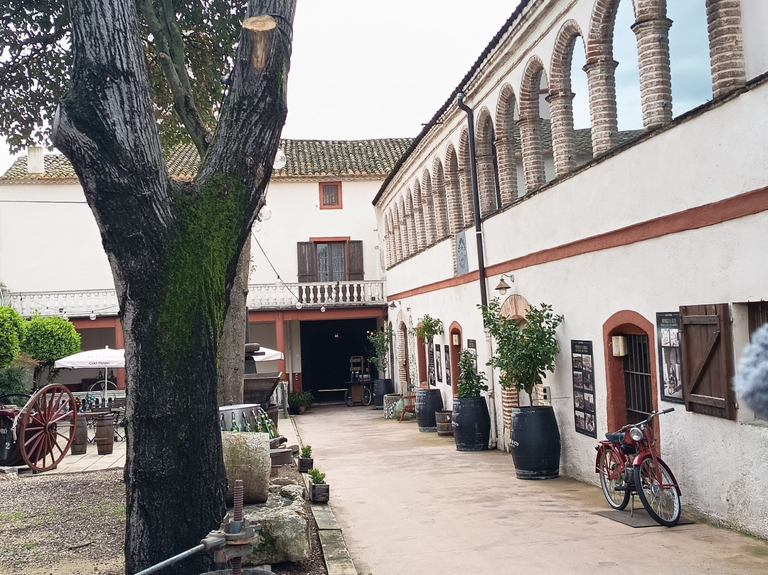 Casa Vermouth Padró-Brafim必去景点