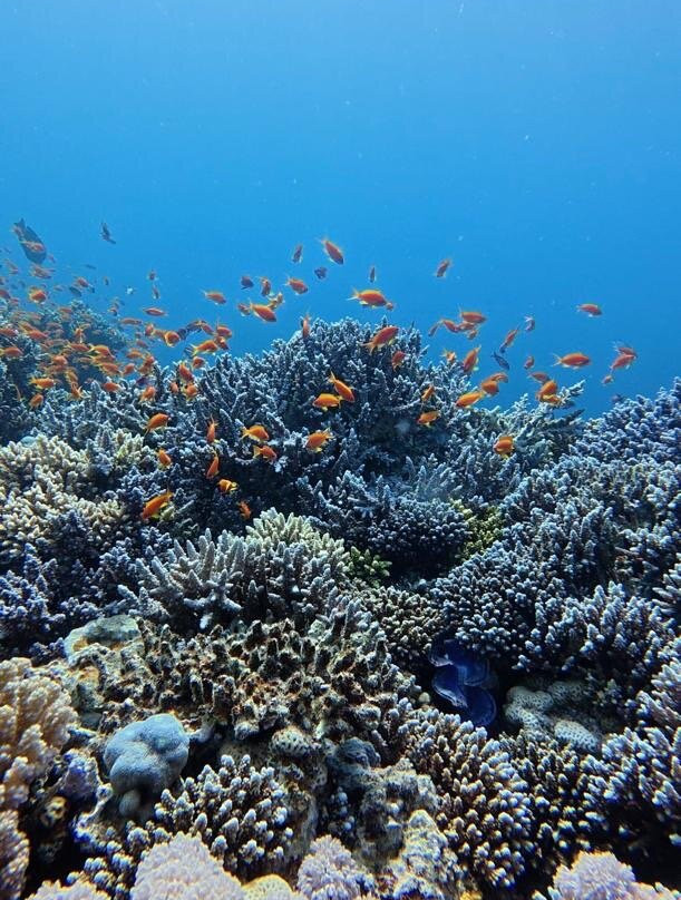 Slydive Dahab-达哈卜必去景点