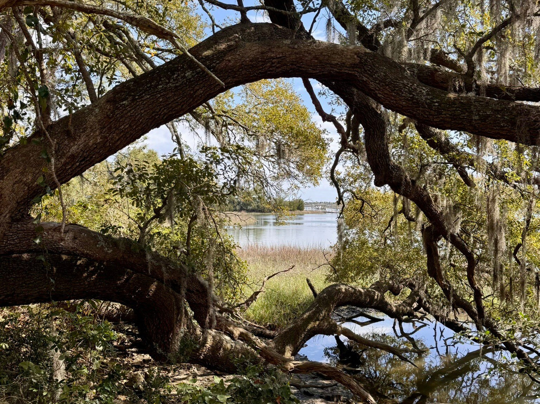 Airlie Gardens-威尔明顿必去景点