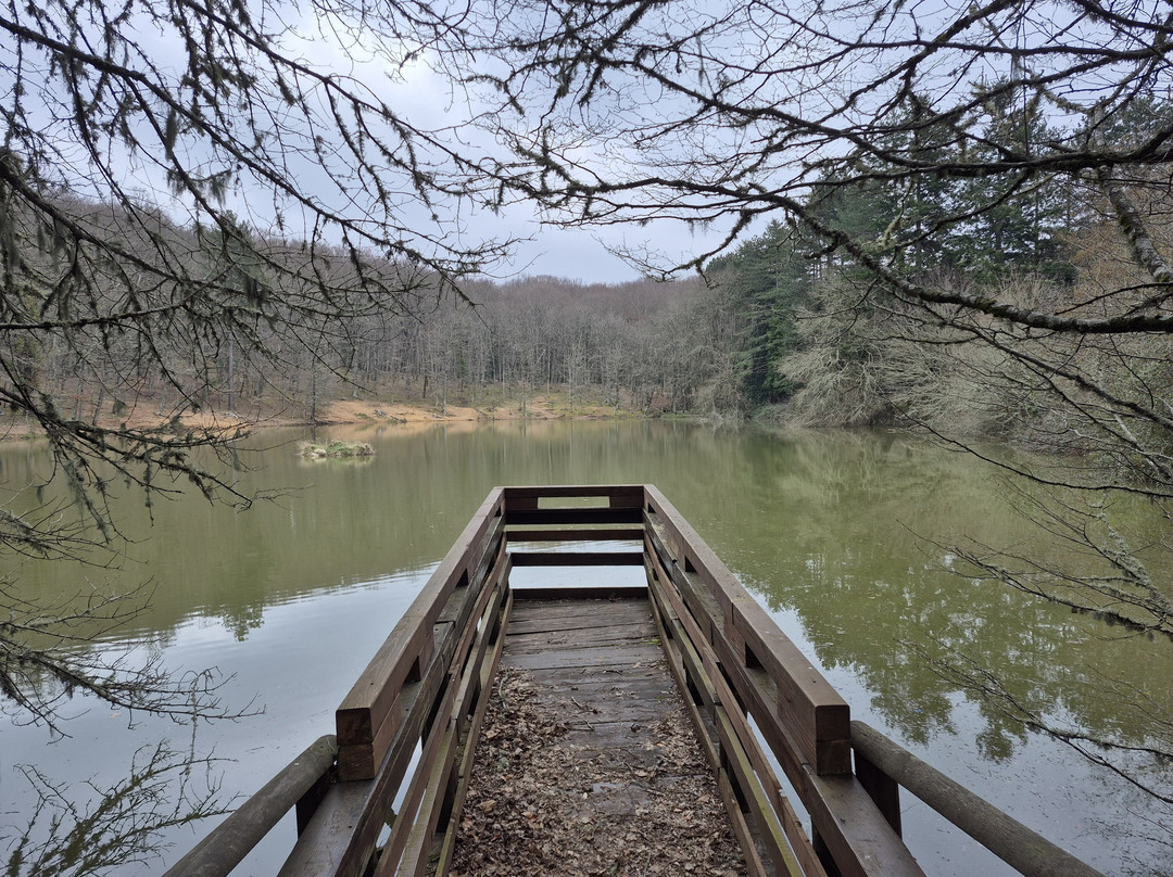 Foresta Umbra-Monte Sant'Angelo必去景点