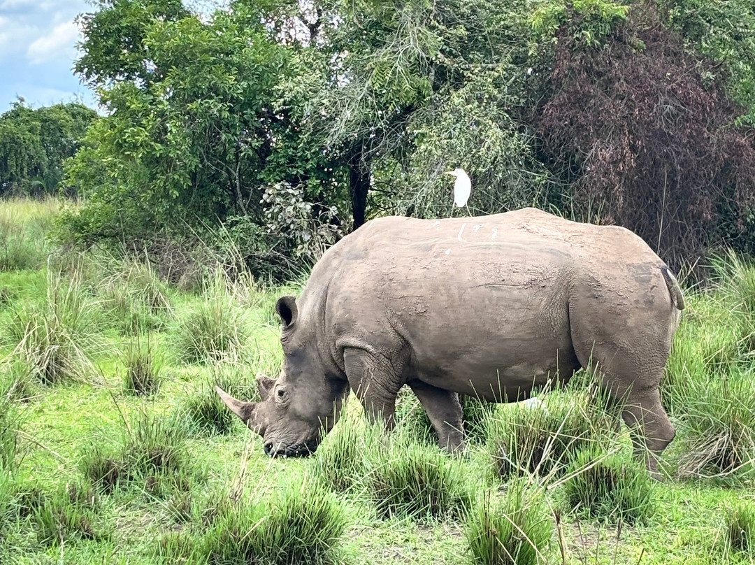 Uganda Family Tours & Travel-Fort Portal必去景点