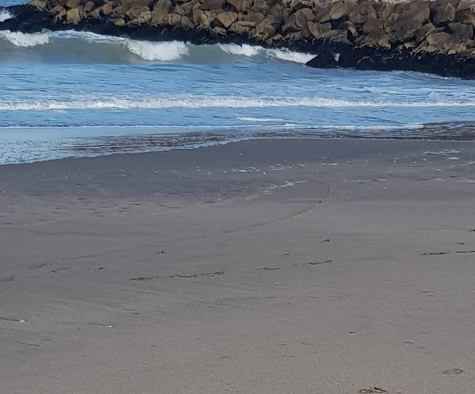 Playas de Mar de Cobo-Mar de Cobo必去景点