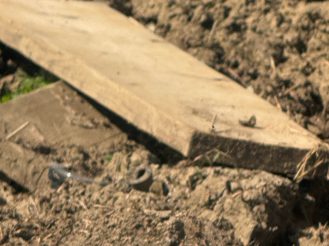 Little Jack's Farm and Garden Centre-Bottesford必去景点