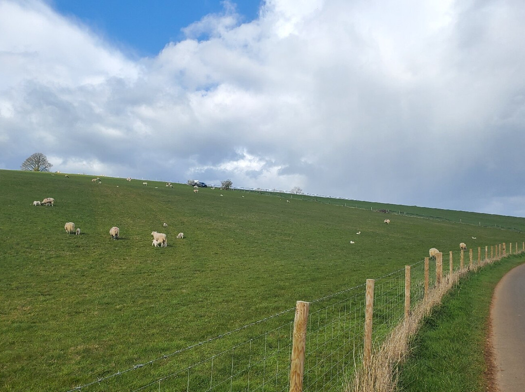 Cotswolds Guided Tours-莫顿因马什必去景点