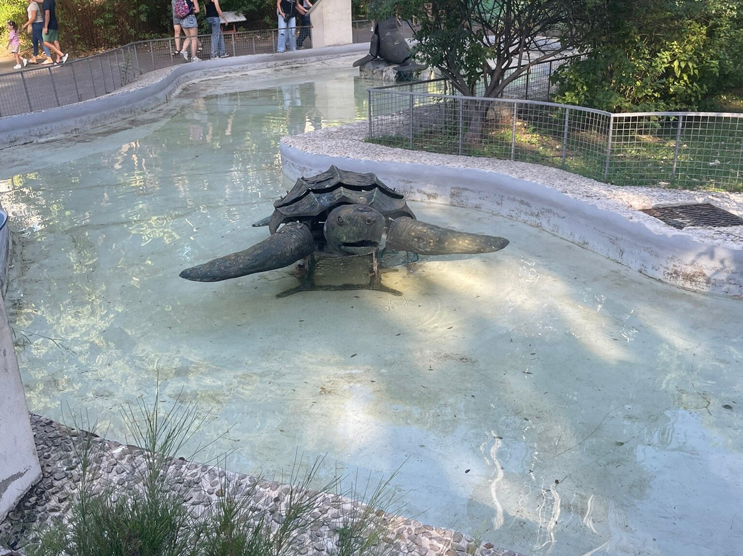 Eco Parque-布宜诺斯艾利斯必去景点