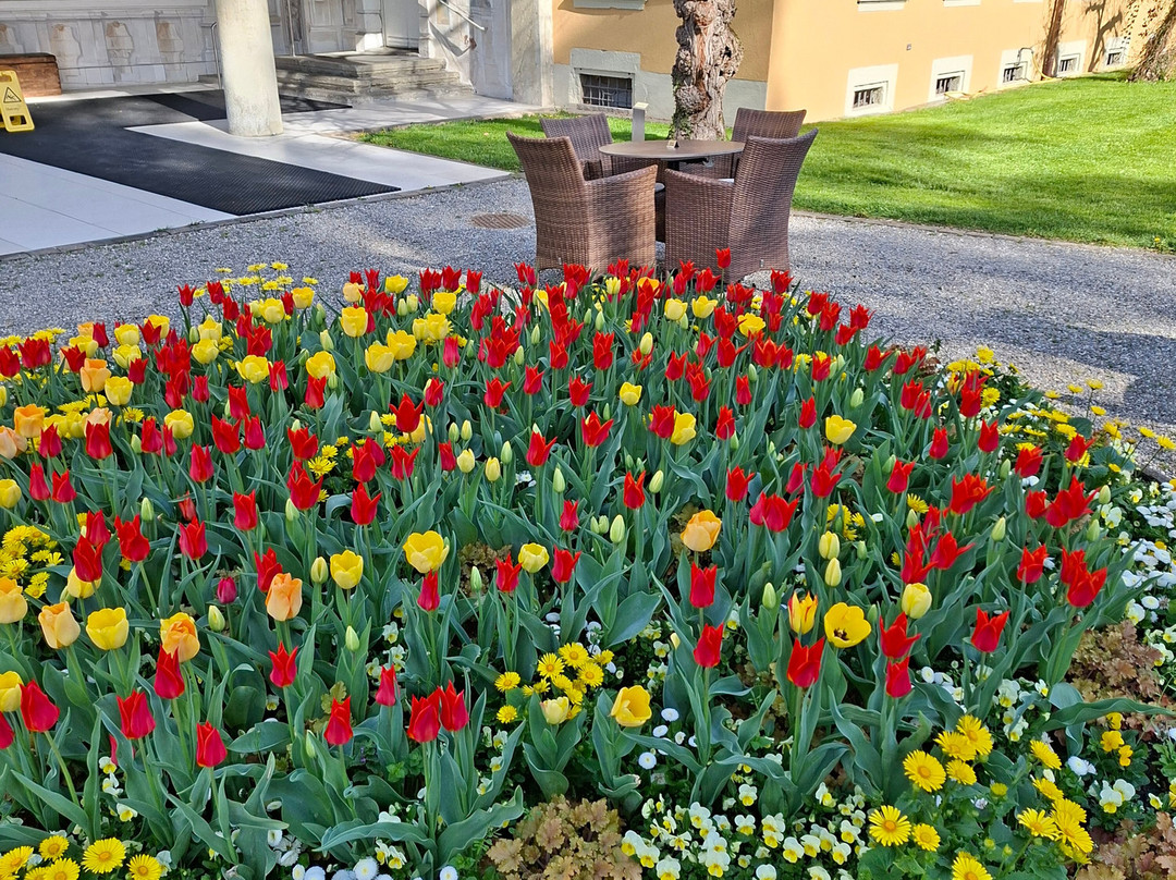 Bad Schinznach-Schinznach Bad必去景点