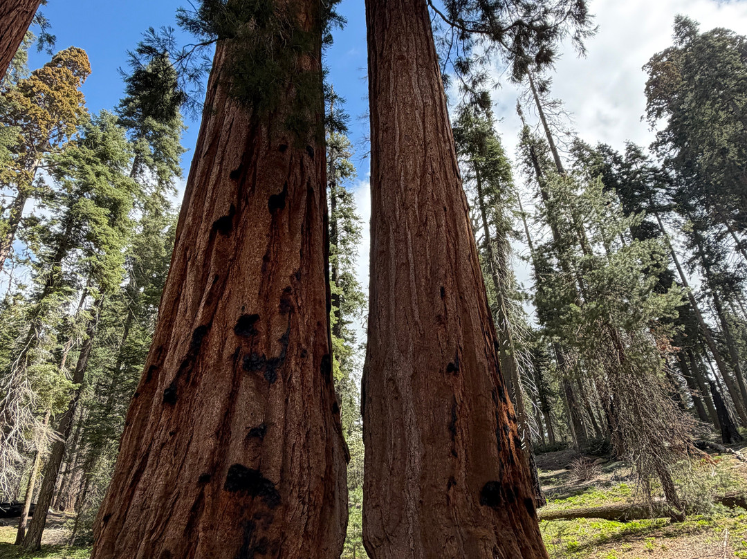 沃克萨奇村小屋酒店主图