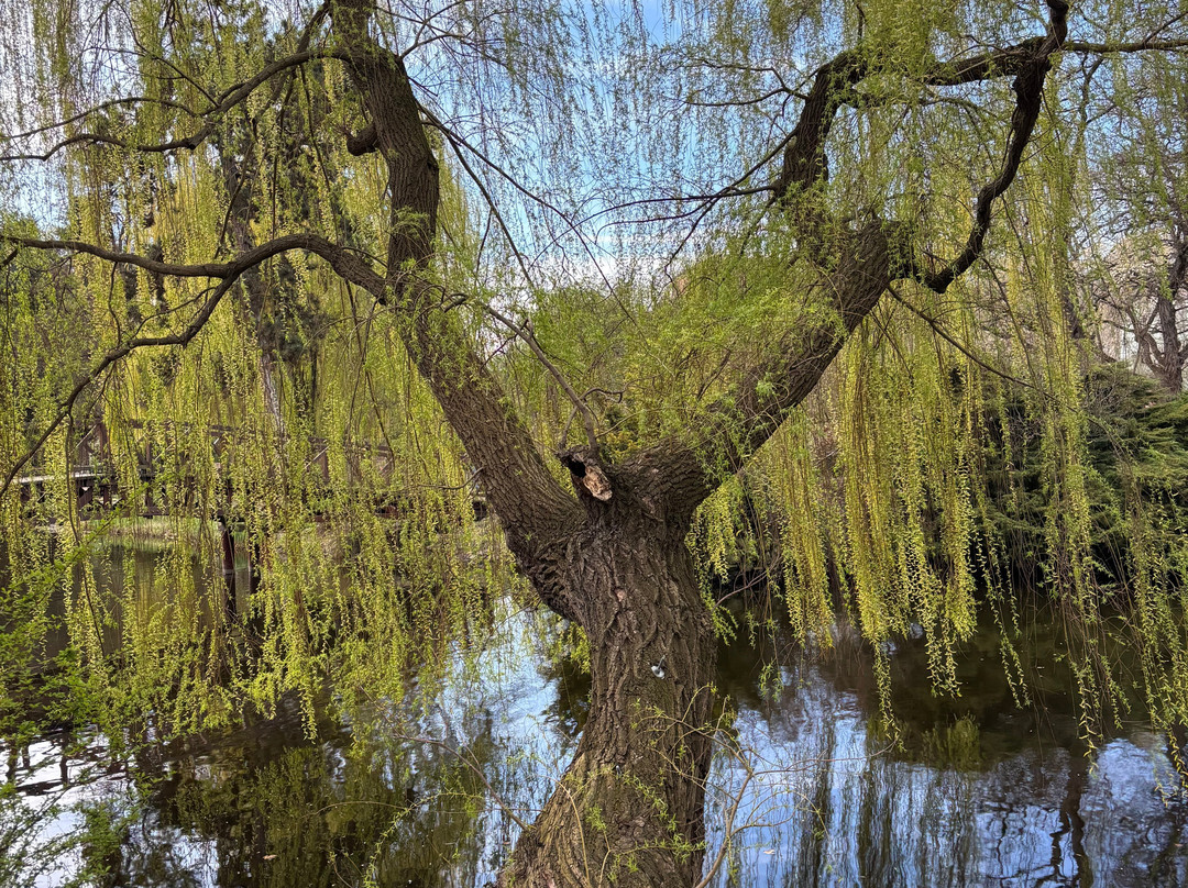 Botanical Garden of the University of Wrocław-弗罗茨瓦夫必去景点