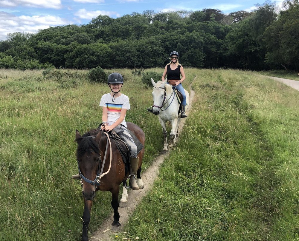Killarney Riding Stables-基拉尼必去景点