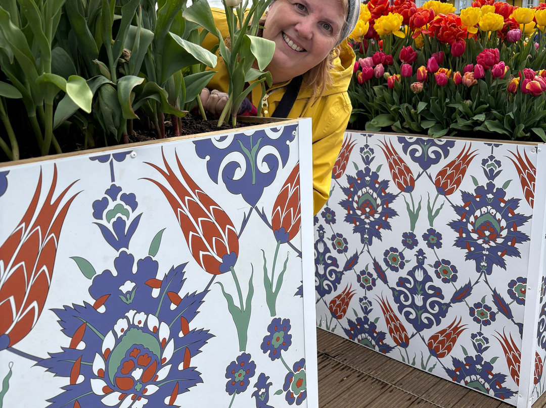 Tulleys Tulip Garden - Warwickshire-沃里克必去景点