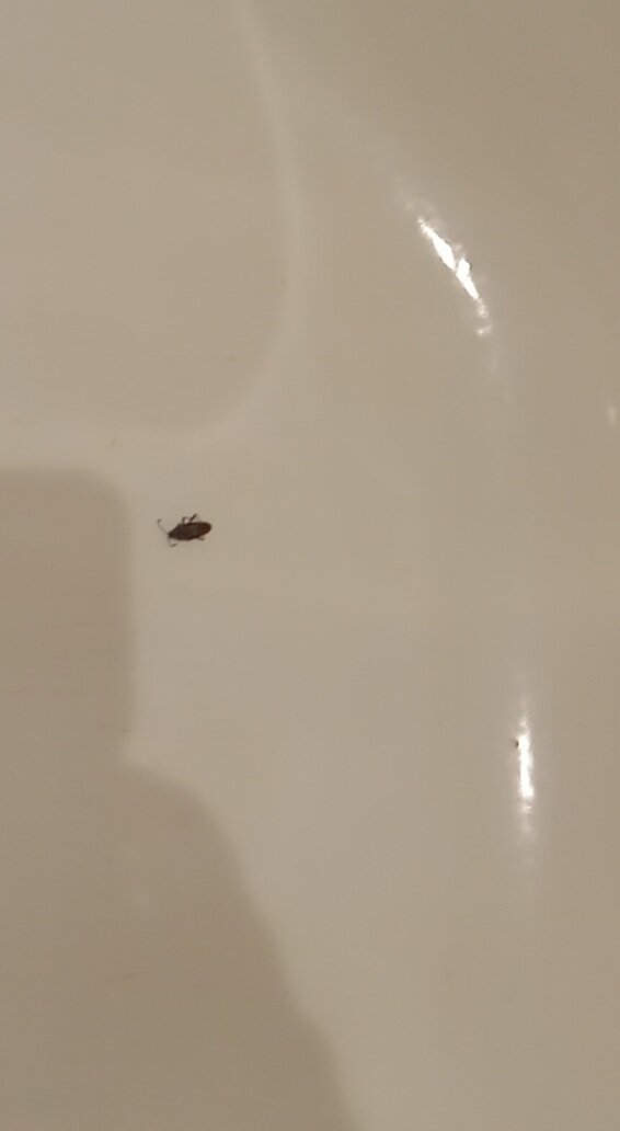 怀特河套房酒店-客卧