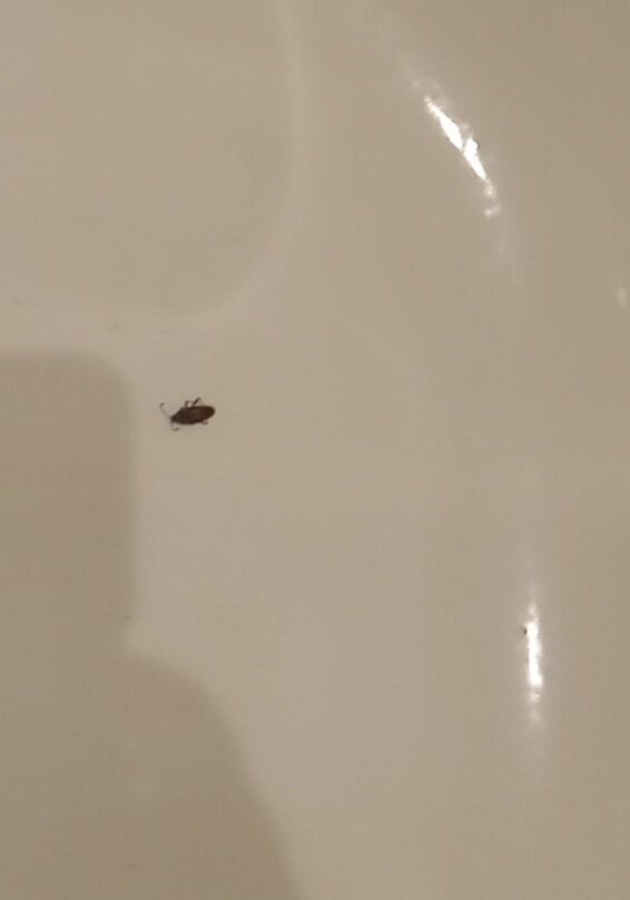 怀特河套房酒店主图