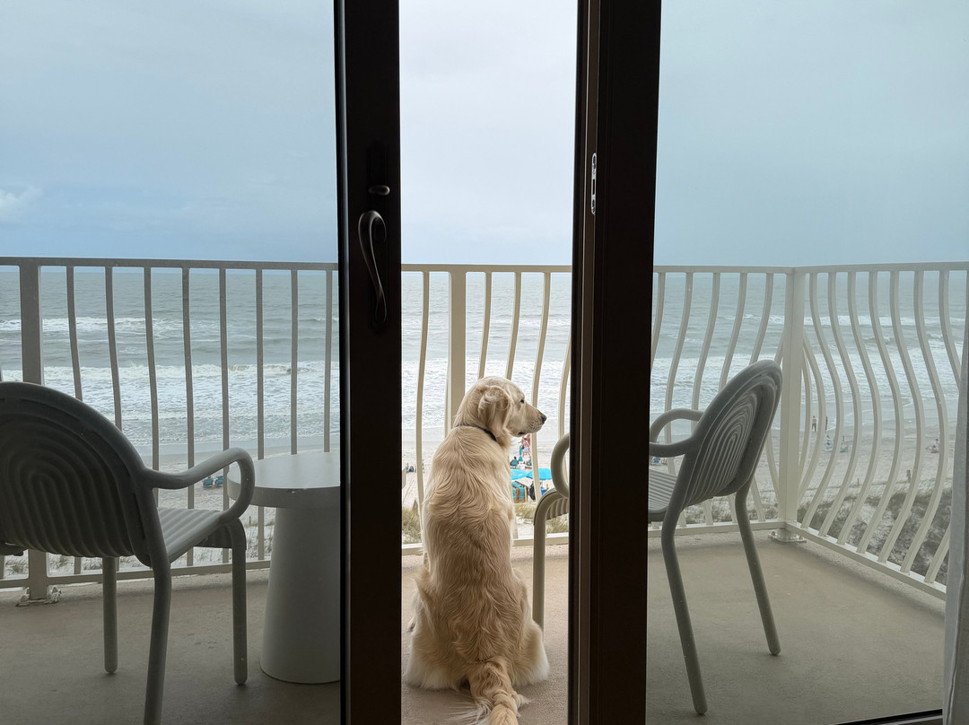 一片海洋大西洋海滩温泉度假村主图