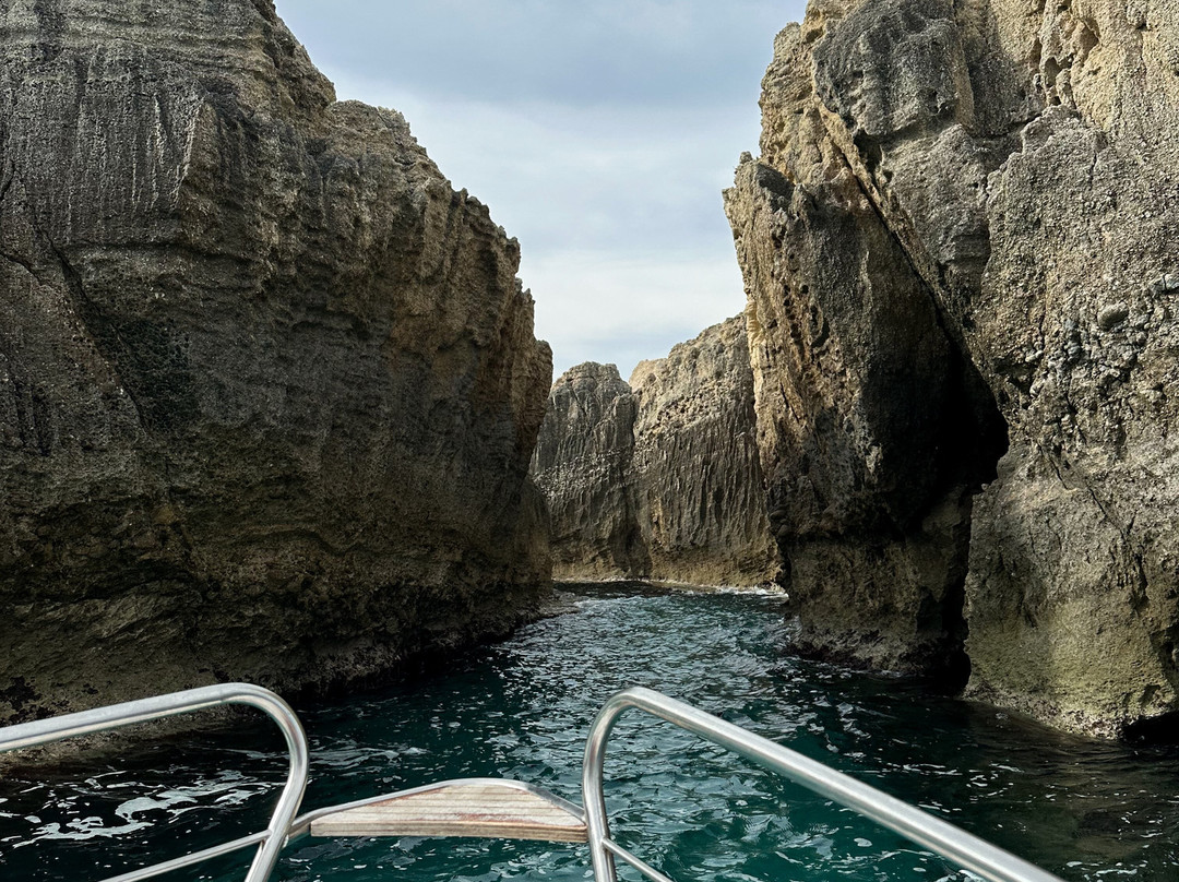 Noleggio Nautico Shark Bay-Parghelia必去景点