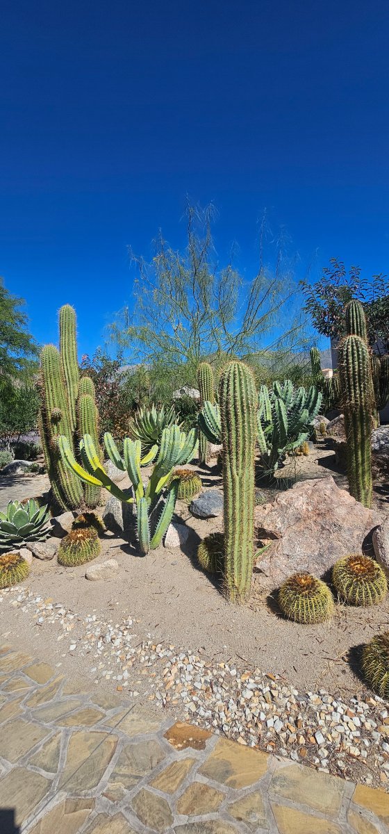 皮亚特列酒店度假村-旅行者