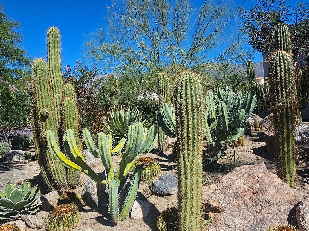 皮亚特列酒店度假村主图