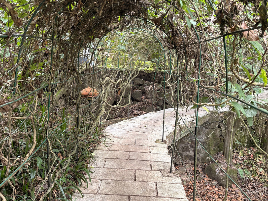 蒙纳大树酒店主图