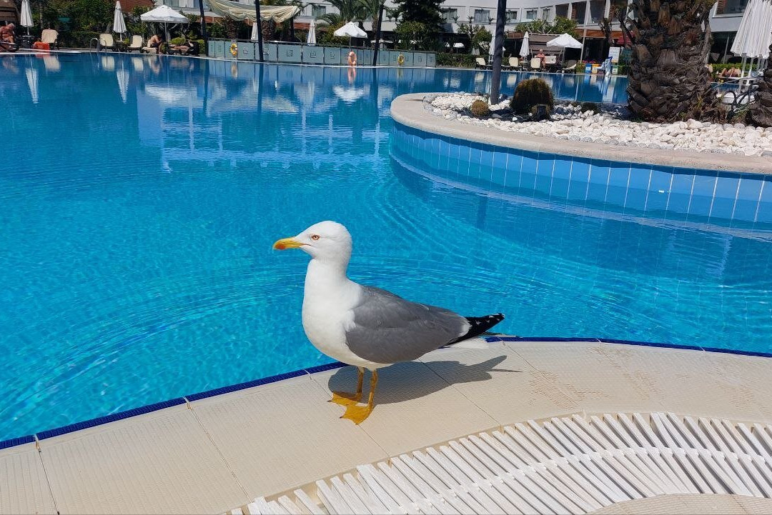 费穆古努克酒店主图