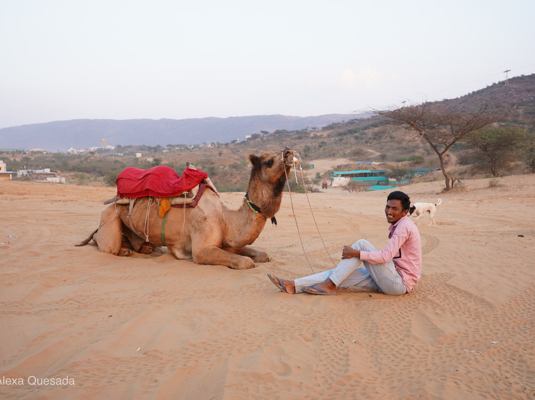 EAZE TOURS-新德里必去景点