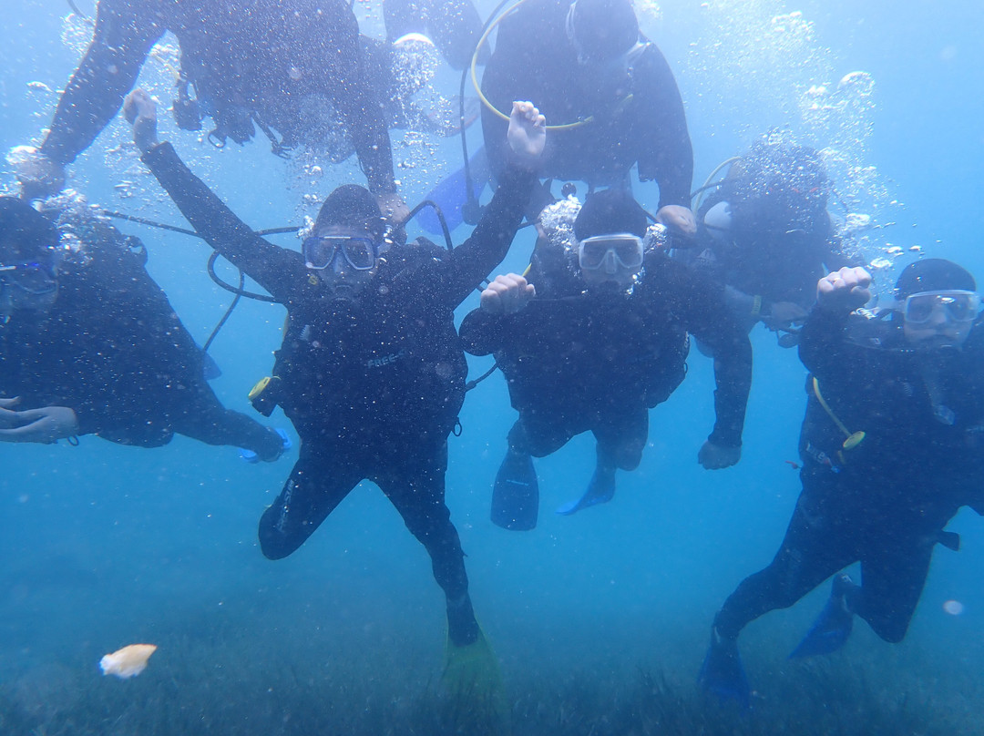 Sarıgerme Diving
