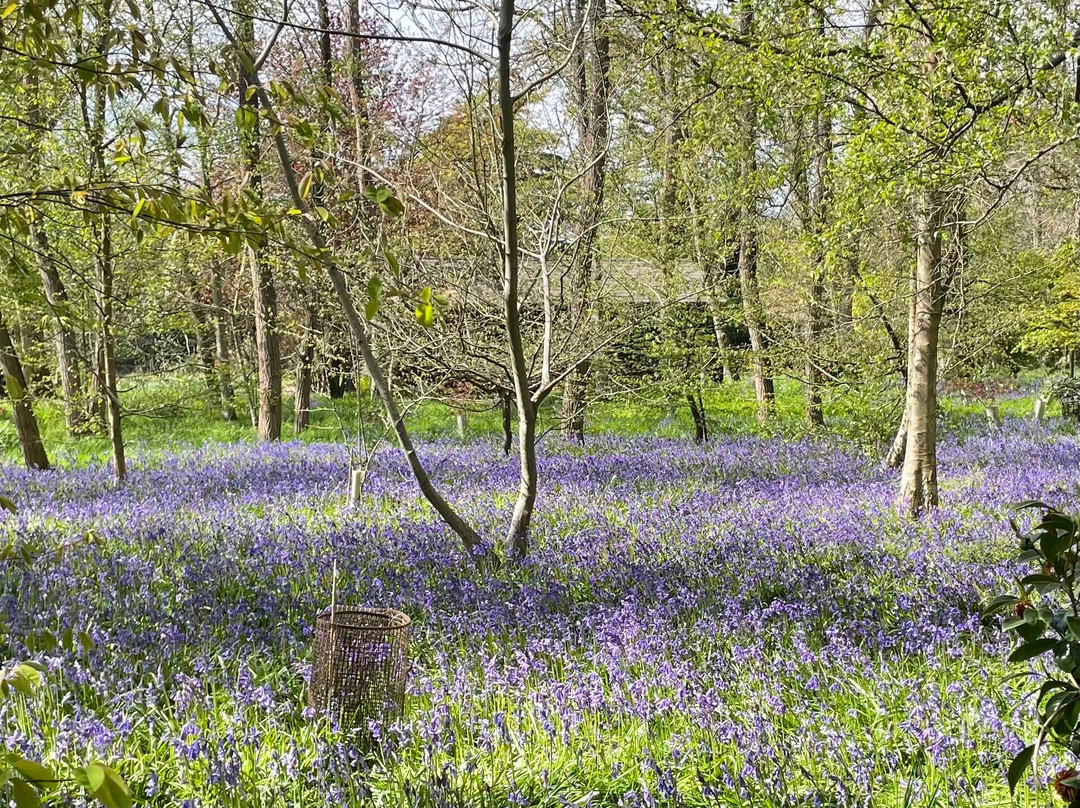 Green Island Gardens-Ardleigh必去景点