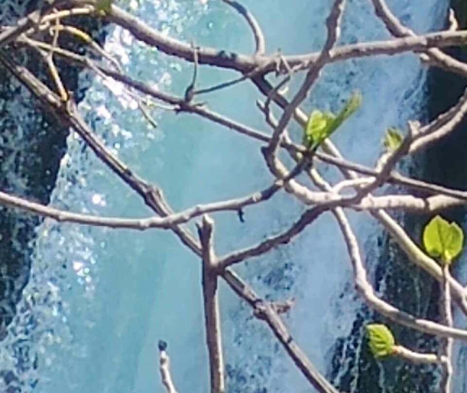 Krka National Park-Sibenik-Knin County必去景点