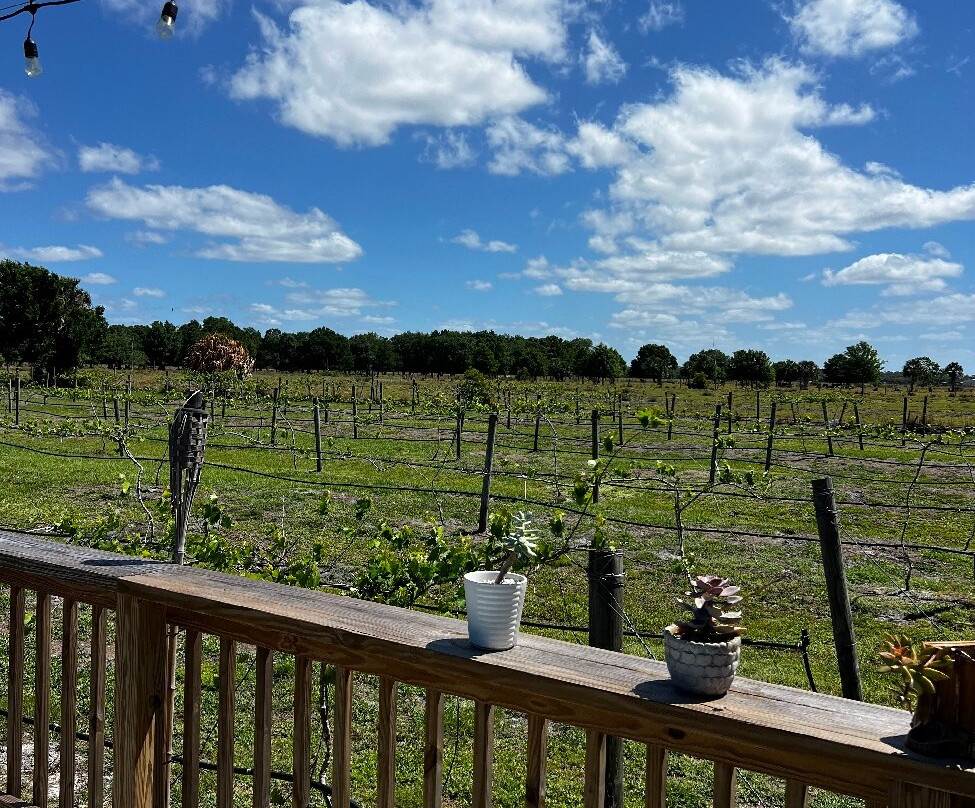 Secret Gardens Winery & Farm-赛百灵必去景点