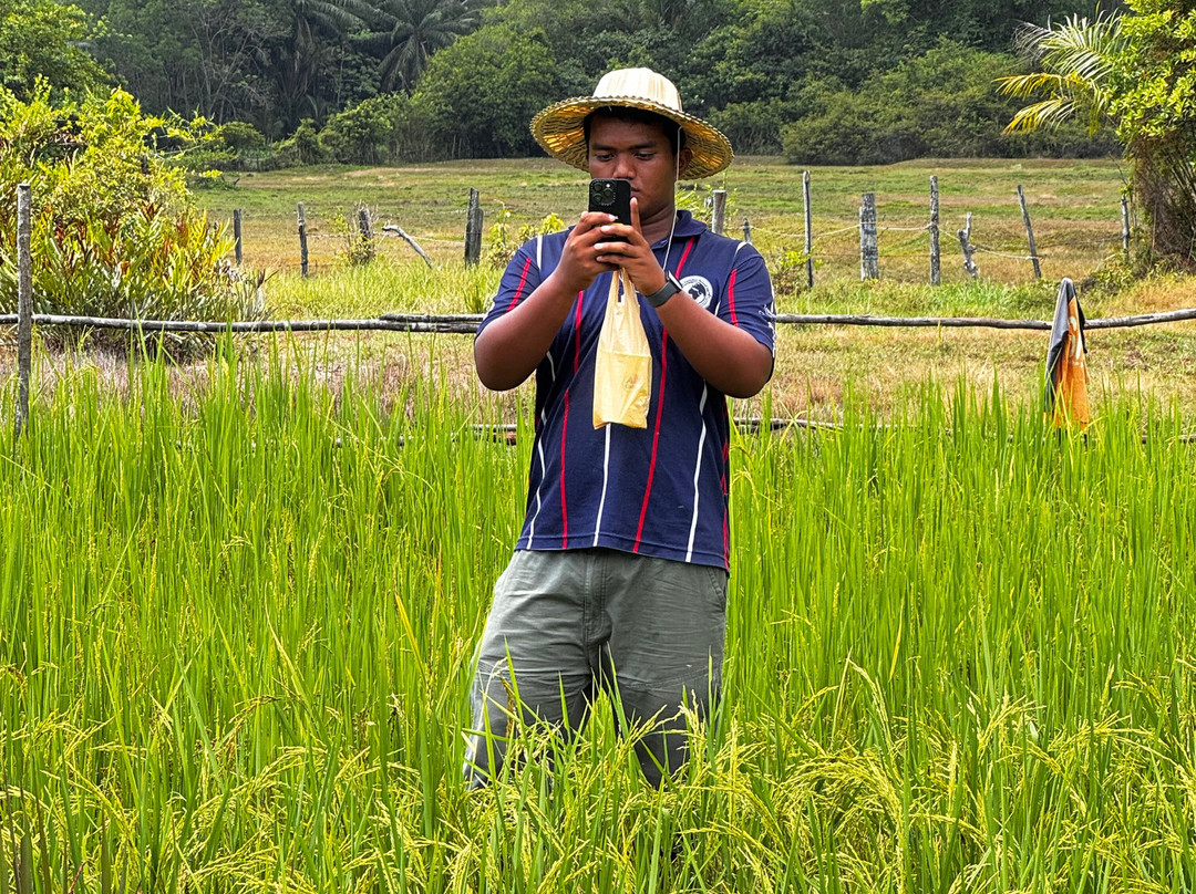 Our Magical Thailand-阁耀亚伊岛必去景点