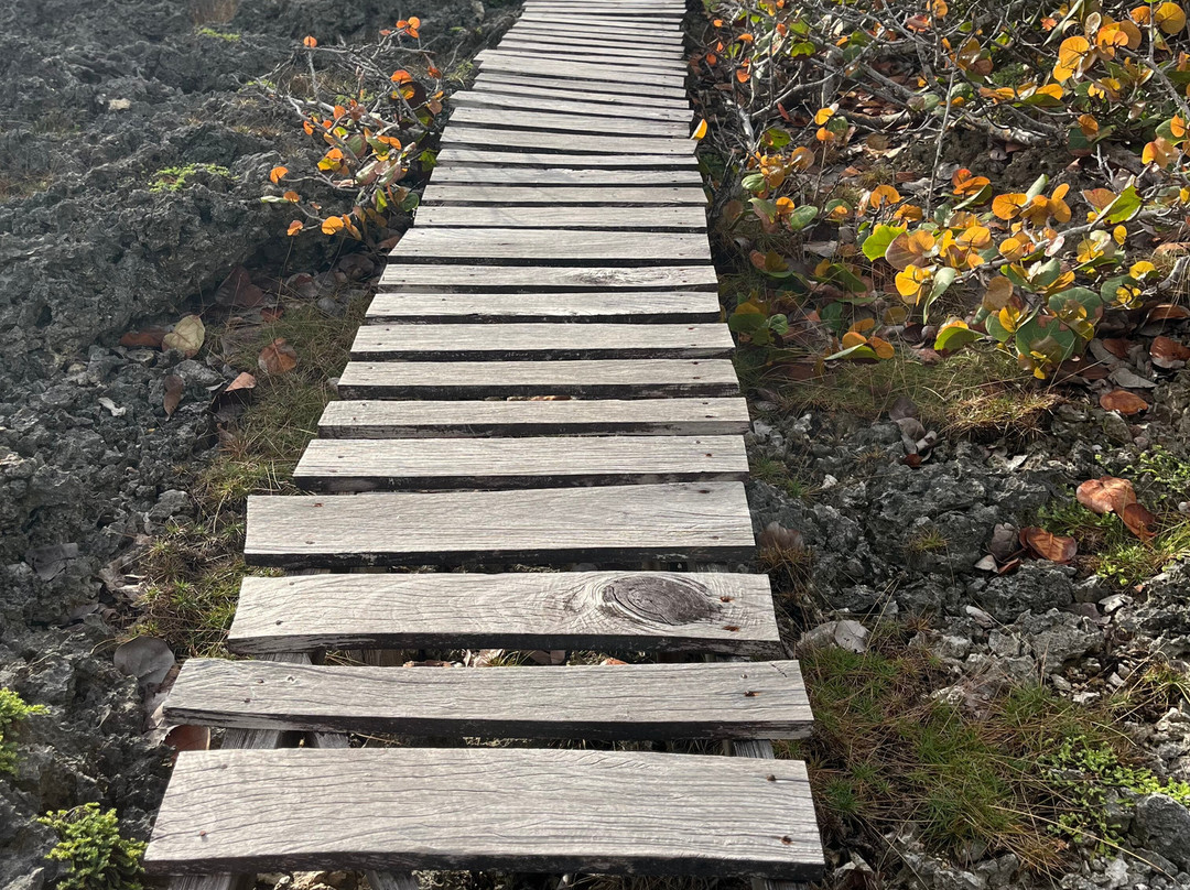 美妙木屋旅馆主图