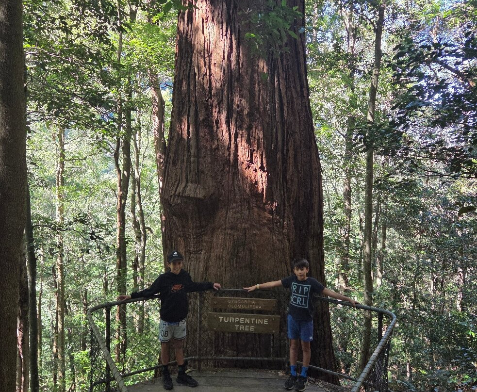 The Giant Stairway-卡通巴必去景点